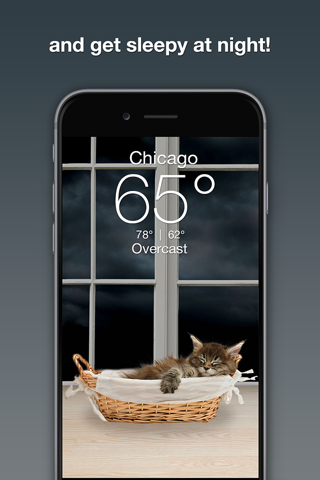 Weather Kitty: Weather + Radar screenshot 3