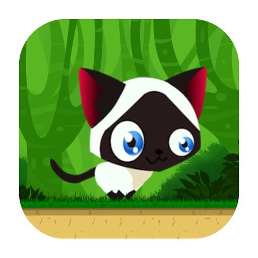 Game of Cat iOS App