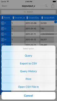 sqlite - browse editor manager iphone screenshot 3
