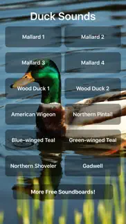 duck sounds! iphone screenshot 1