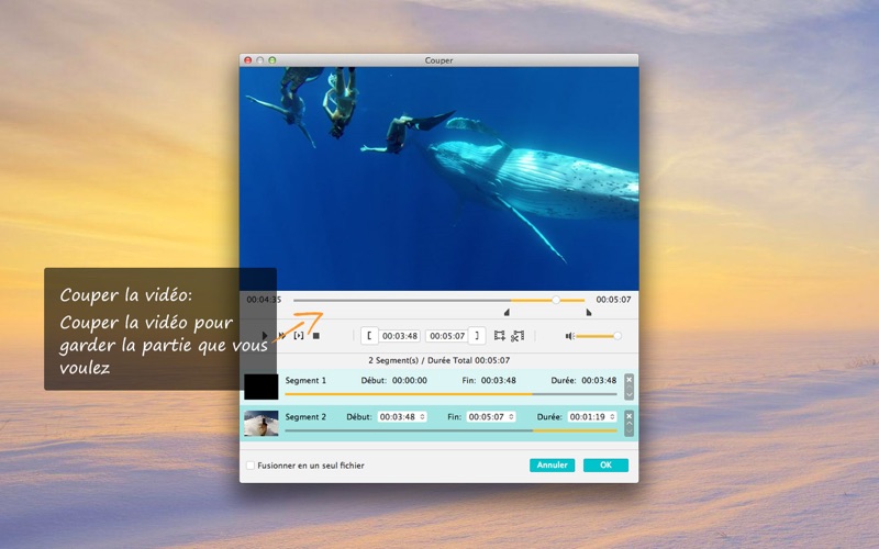 Screenshot #3 pour 4Video Video Converter Pro