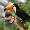 Bird Photo Frames - Creative Frames for your photo app icon - Photo & Video app for iPhone