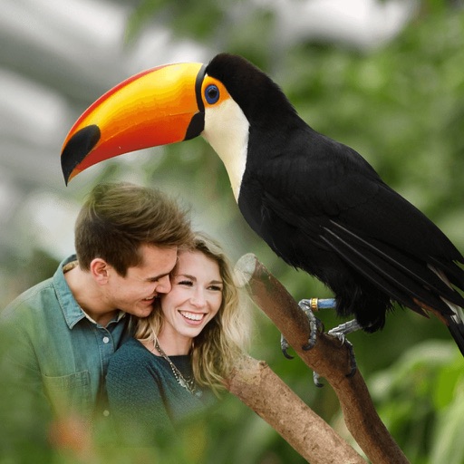 Bird Photo Frames - Creative Frames for your photo app icon