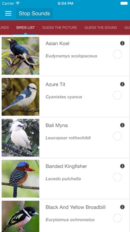 Asian Birds Sounds screenshot-3