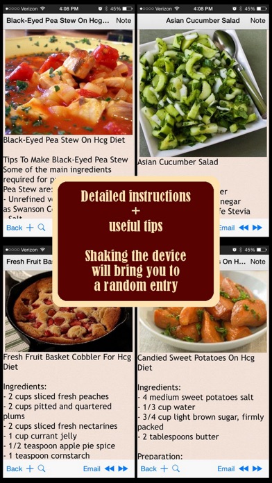 HCG Diet Recipes Plus+ Screenshot