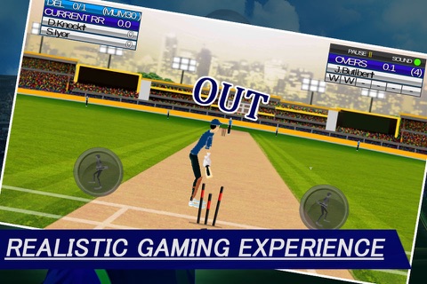 IPL Cricket Craze 3D screenshot 4