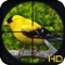 Bird Hunter in Jungle Pro - 3D sniper Shooting 2016