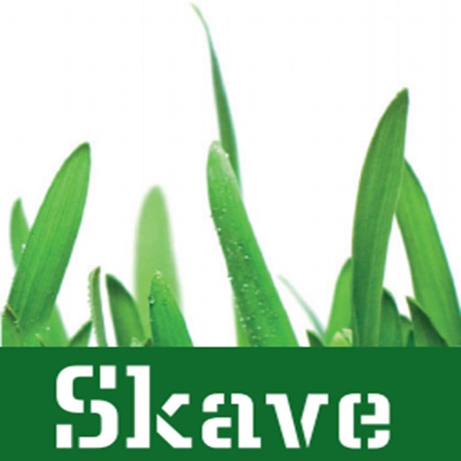 Skave Maskinstation icon