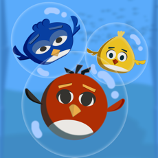 Activities of Bubbly Birds