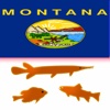 Montana Lakes - Fishing