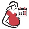 Pregnancy Countdown – Weekly Fetus & Mother Development plus Tips, Information and Checklists