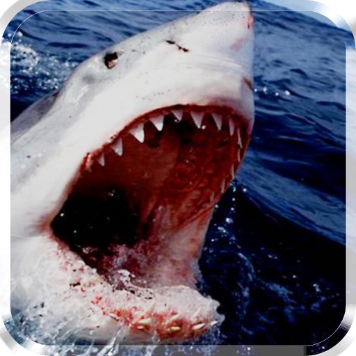 2016 Shark Attack 2 Pro : Sea Monster Deadly Revenge (Sniper  Adventurous Edition) icon