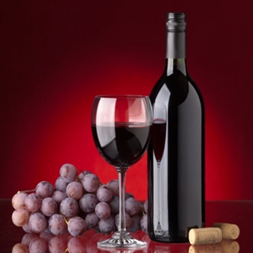 Wine Guide:Wine Tasting For Beginners