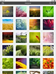 Wallpaper Collection Nature Edition ipad bilder 0
