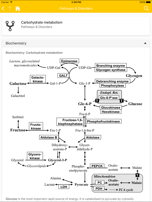 Screenshot #5 pour eVM - Vademecum Metabolicum
