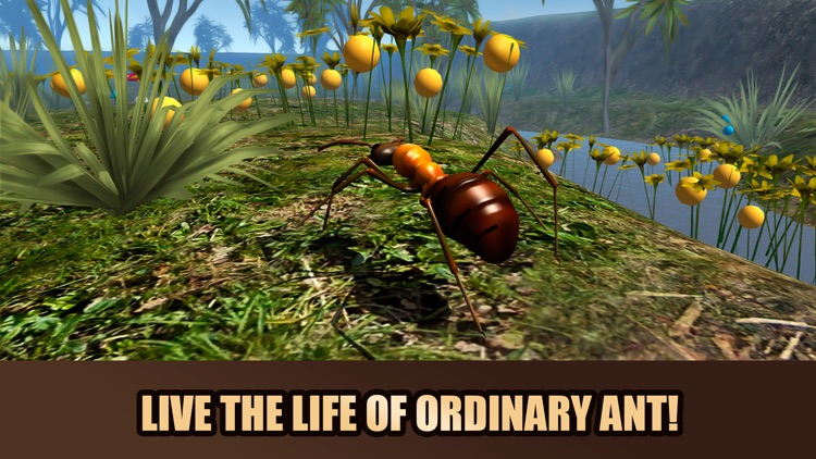 Red Ant Simulator 3D