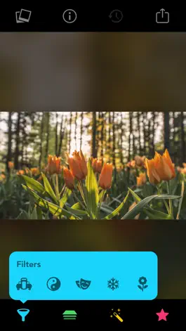 Game screenshot Filters for iPhone and iPad apk