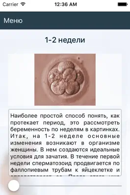 Game screenshot Дневник беременности  9 месяцев hack