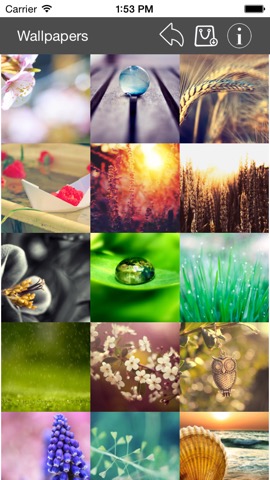 Wallpaper Collection Macro Editionのおすすめ画像4