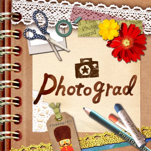 Photograd Japanese Kawaii camera Icon