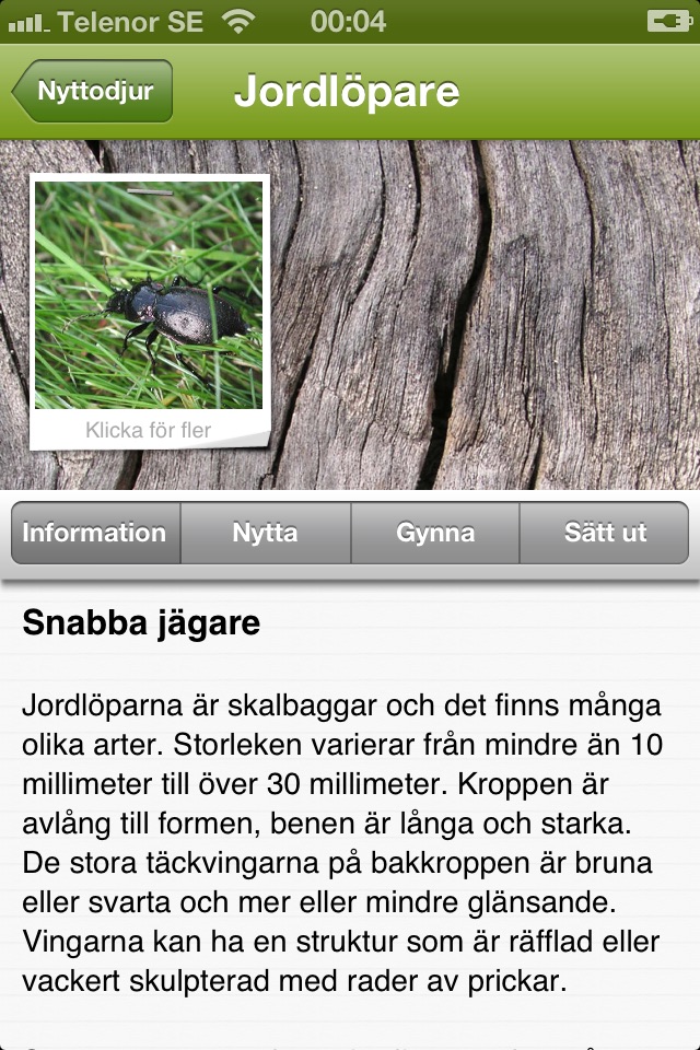 Nyttodjur screenshot 3