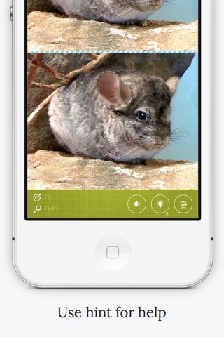 Find the Difference in Chinchilla screenshot 4