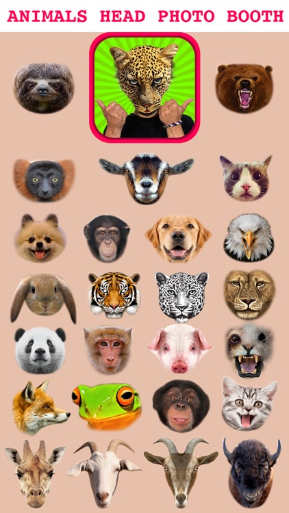 Animal Head Photo Sticker Booth - Funny Animals Face Changer Montage Maker