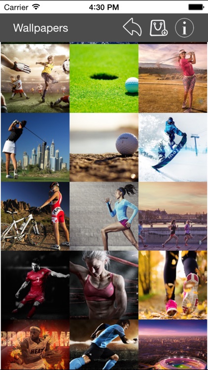 Wallpapers Collection Sport Edition screenshot-3