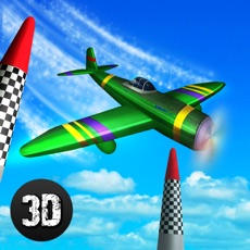 Activities of Pilot Air Race 3D Full