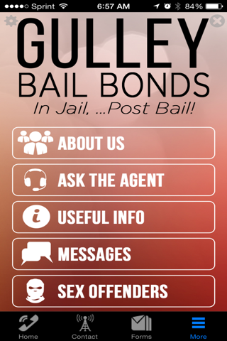 Gulley Bail bonds screenshot 4