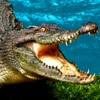 2016 Nile Alligator Hunting Pro : Crocodile Hunter Swamp Season Attack