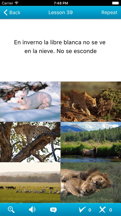 American Spanish in a Month