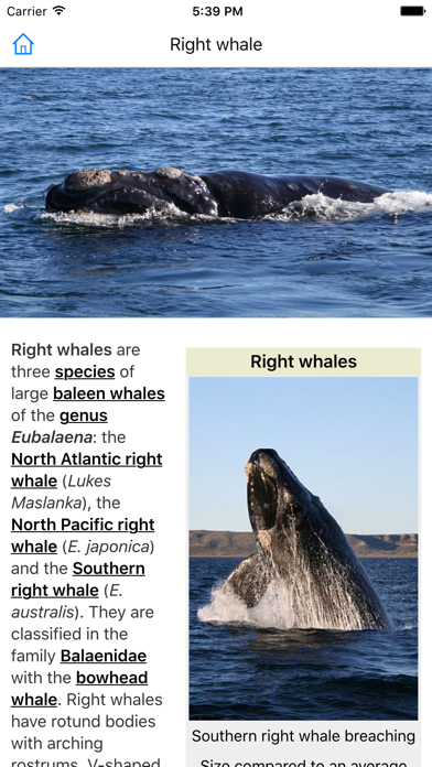 CHI Encyclopedia of Whales iPhone screenshot 5 - Education app