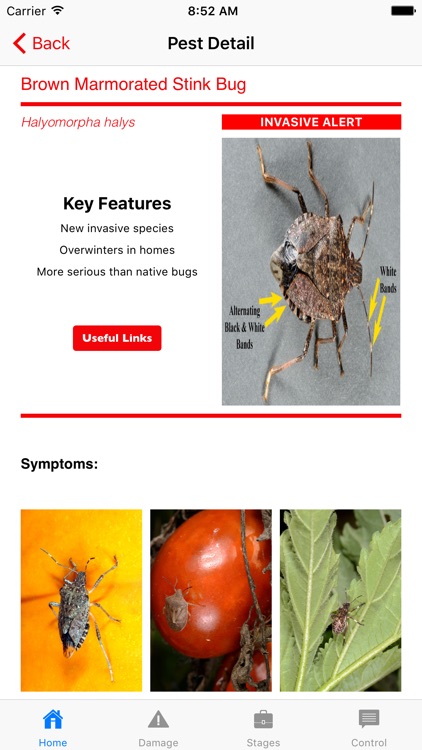 Purdue Tomato Doctor screenshot-4