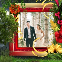 Forest Photo Frame - Picture Frames + Photo Effects app icon - Photo & Video app for iPhone