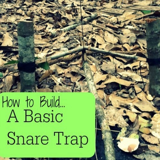 How To Build Up A Snare Trap:Survival Skills icon