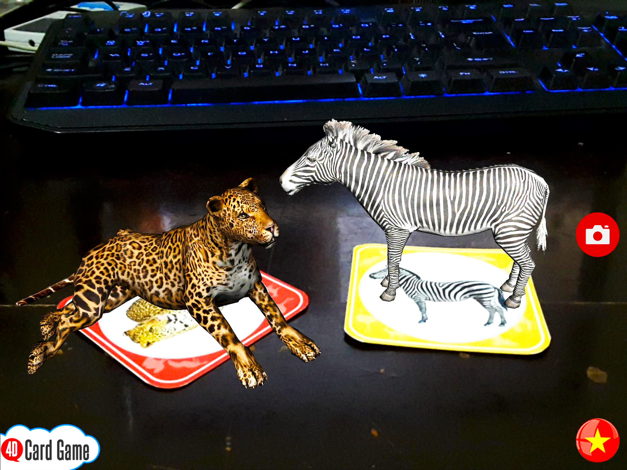 4D Virtual Zoo