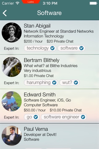 Blitz — Experts on Demand screenshot 2