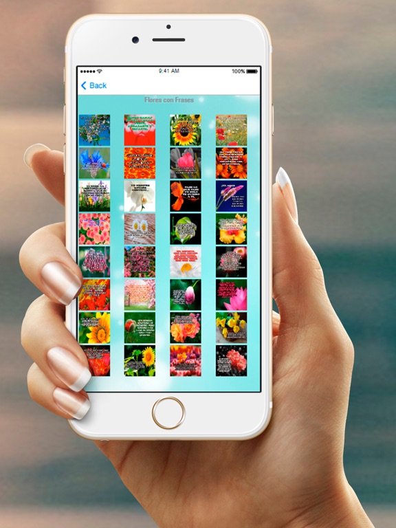 Screenshot #6 pour Flores con Frases Gratis y Hermosos Carteles Bellos