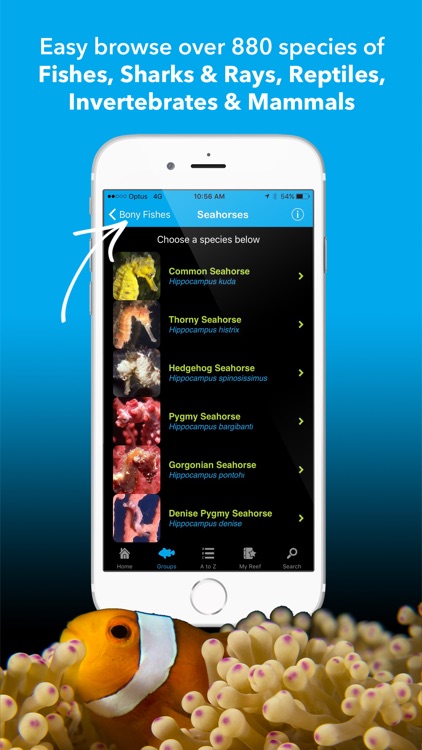 Coral Sea Fish Guide - fishes of the Great Barrier Reef, Papua New Guinea, Solomon Islands, Vanuatu, New Caledonia and beyond screenshot-0