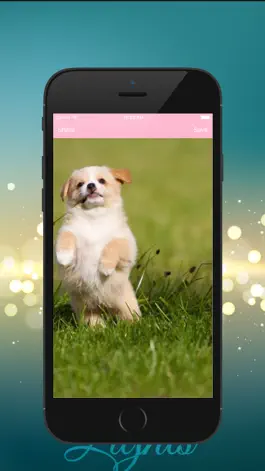Game screenshot Dog HD Wallpaper apk