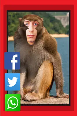 Game screenshot Place Your Face On Animals Body - Make Yourself Wild And Yourself  Tiger & Lion Figure  TRY hack