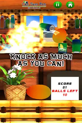 Game screenshot Can Toss Fun - Hit & Smash 3D hack