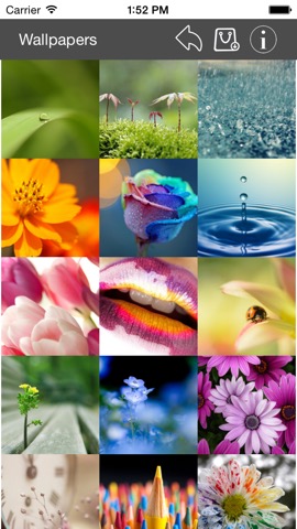 Wallpaper Collection Macro Editionのおすすめ画像1