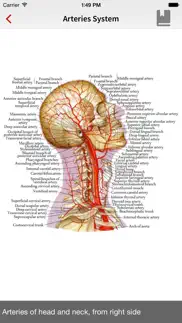 human anatomy position problems & solutions and troubleshooting guide - 2