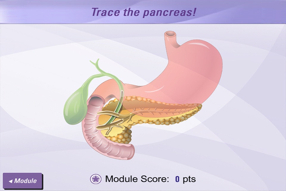 Pancreas 101 screenshot 4