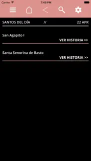 el santoral problems & solutions and troubleshooting guide - 4
