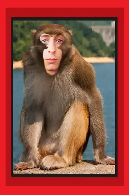 Game screenshot Place Your Face On Animals Body - Make Yourself Wild And Yourself  Tiger & Lion Figure  TRY mod apk