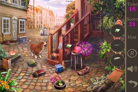 Backyard Hidden Objects screenshot 3