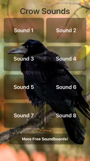 crow sounds iphone screenshot 1
